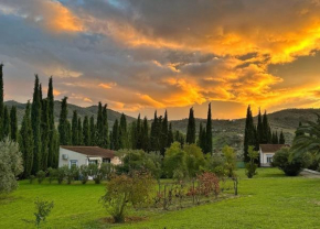 Casita Higo